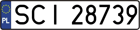 SCI28739