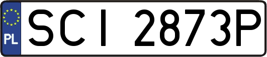 SCI2873P