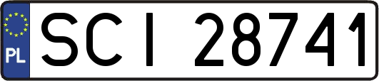 SCI28741