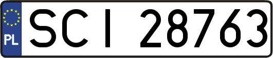 SCI28763