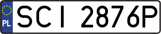 SCI2876P