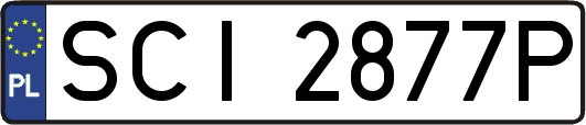 SCI2877P