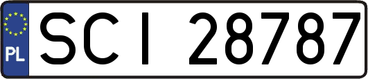 SCI28787