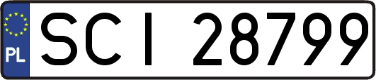 SCI28799