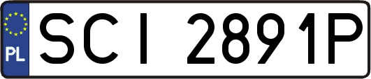 SCI2891P