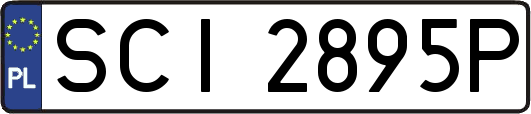 SCI2895P