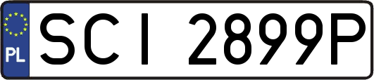 SCI2899P