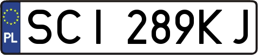 SCI289KJ