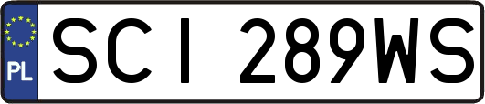 SCI289WS