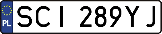 SCI289YJ