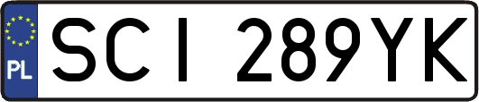 SCI289YK