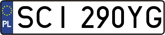 SCI290YG
