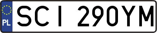 SCI290YM
