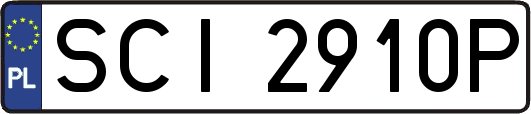 SCI2910P