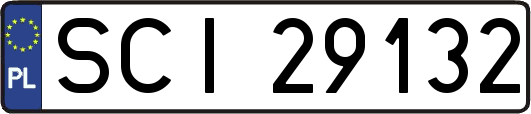 SCI29132