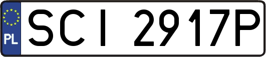 SCI2917P