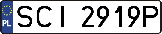 SCI2919P