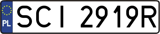 SCI2919R