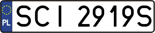 SCI2919S