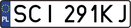 SCI291KJ