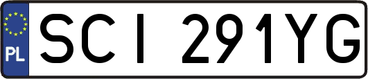 SCI291YG