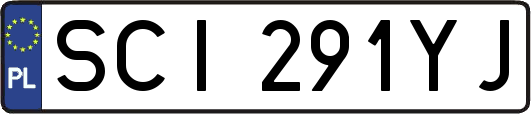 SCI291YJ