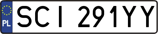 SCI291YY