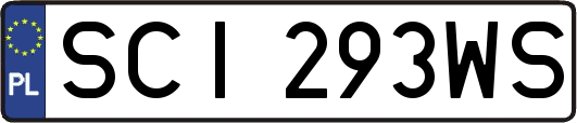 SCI293WS
