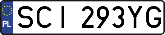 SCI293YG