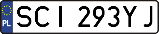 SCI293YJ