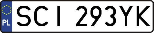 SCI293YK