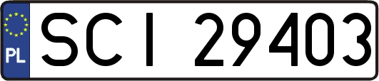 SCI29403