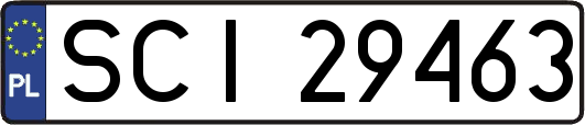 SCI29463