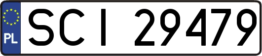 SCI29479