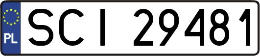 SCI29481
