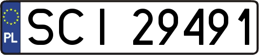 SCI29491