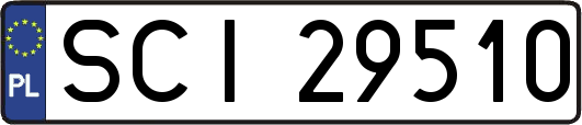 SCI29510