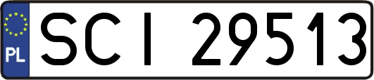 SCI29513