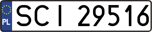 SCI29516