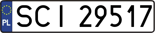 SCI29517