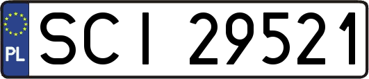 SCI29521