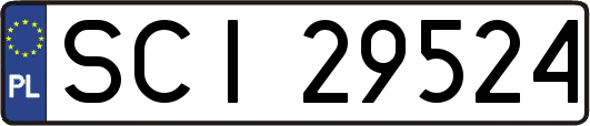 SCI29524