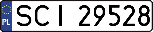 SCI29528