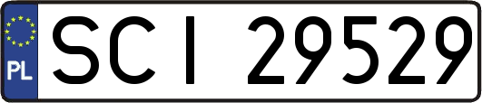 SCI29529