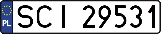 SCI29531