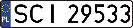 SCI29533