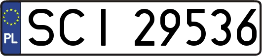 SCI29536