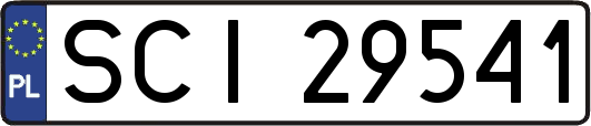 SCI29541