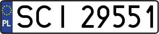 SCI29551