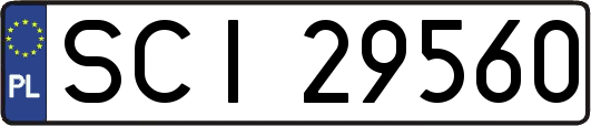 SCI29560